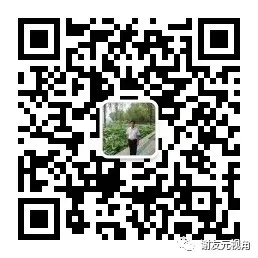 2020“国培计划”：平江县乡村骨干教师提升递进式研修（A186）学习资料梳理
